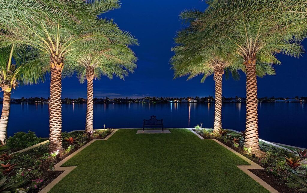 Palm trees line a lit pathway leading to a bench by a calm lake, with a dark blue night sky in the background.