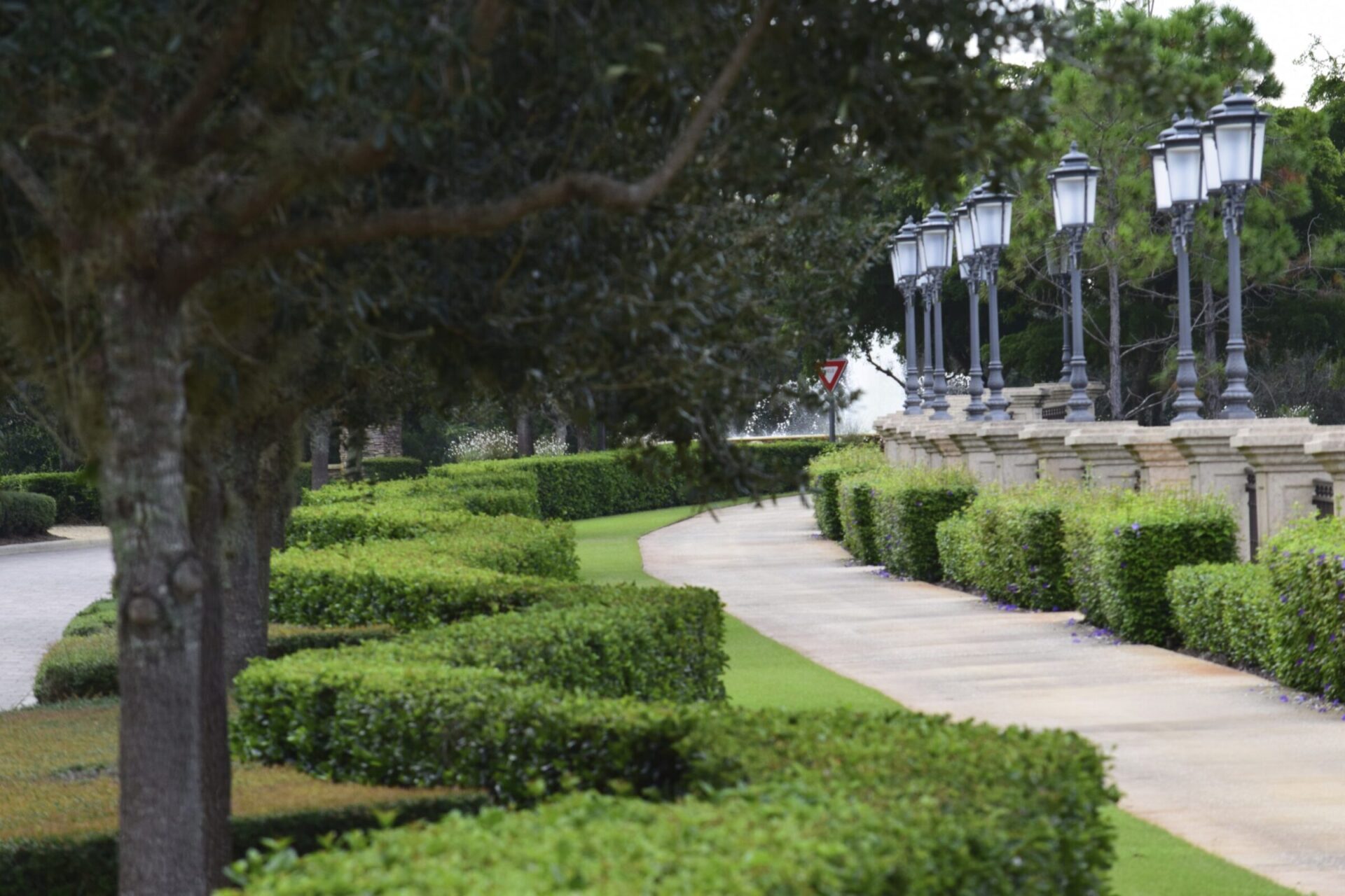 A serene walkway with trimmed hedges, trees, and vintage street lamps lines a path. A traffic yield sign is visible in the distance.