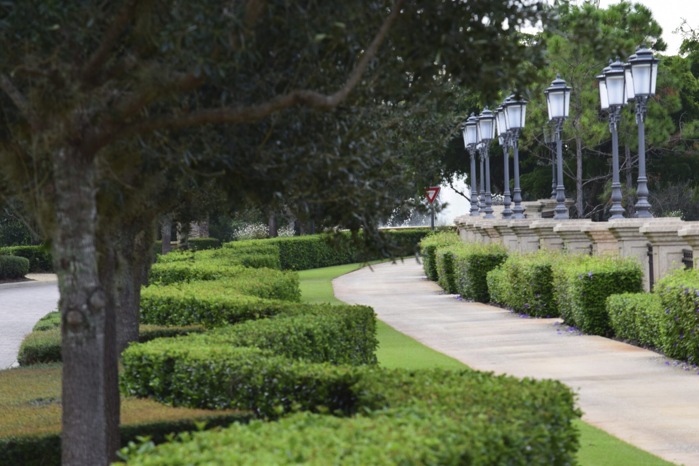 A serene walkway with trimmed hedges, trees, and vintage street lamps lines a path. A traffic yield sign is visible in the distance.