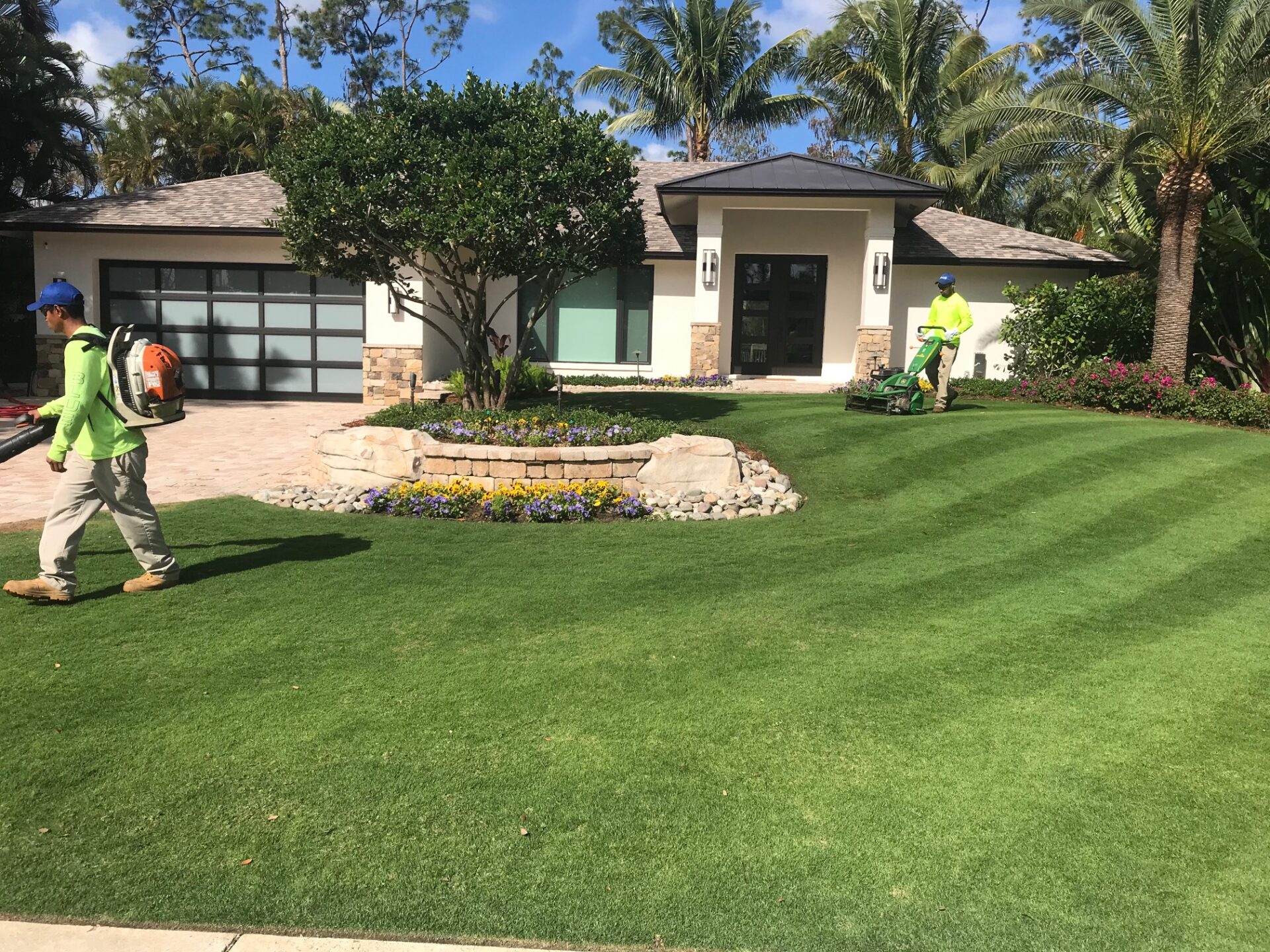 Two people maintaining a well-manicured lawn in front of a modern house, with lush greenery and palm trees under a clear blue sky.