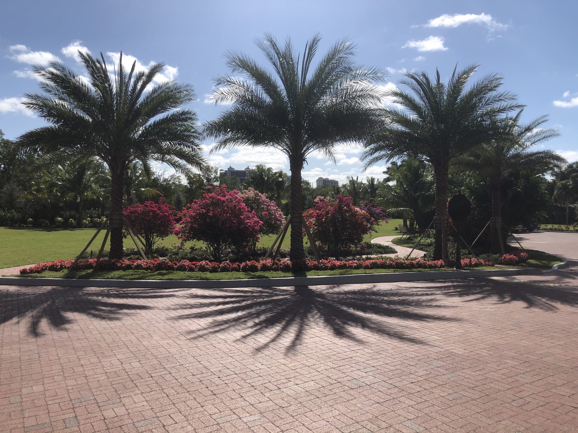 A sunny day features palm trees, blooming bushes, and a paved path in a well-maintained garden setting under a blue sky.