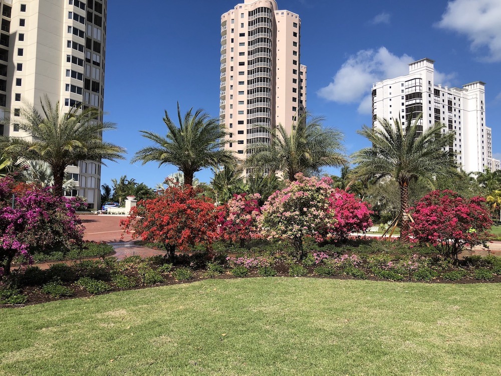 Palm trees and colorful flowers adorn a well-maintained garden in front of tall residential buildings under a clear blue sky.