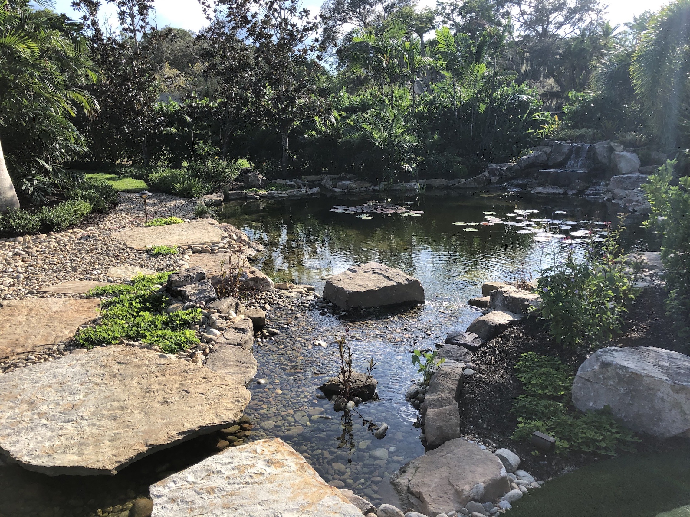A tranquil garden scene with a stone pathway leading to a lily pad-filled pond, surrounded by lush greenery and trees. No buildings visible.