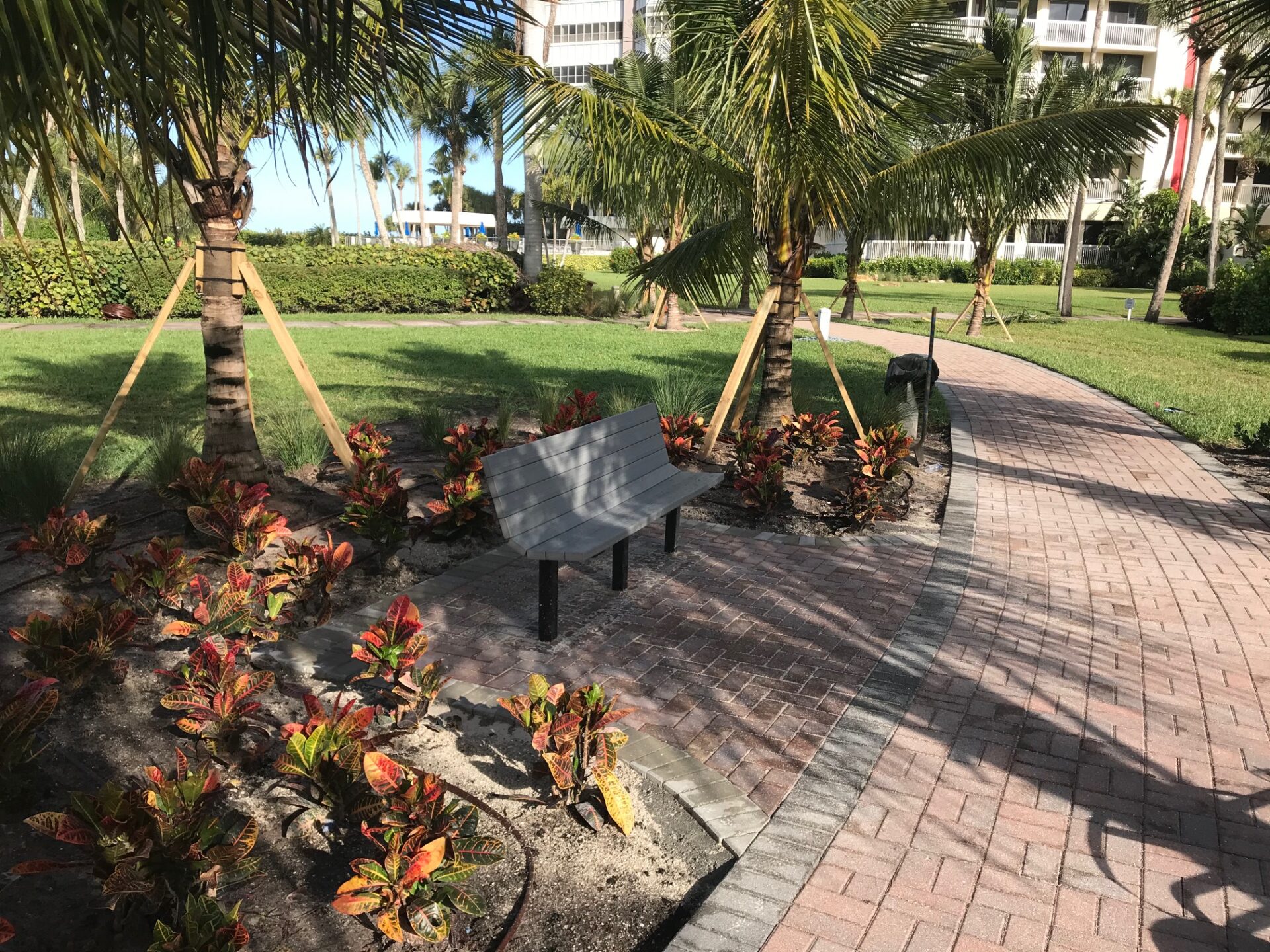 A curved brick path with a bench is surrounded by tropical plants and palm trees beside a residential building in a sunny park setting.