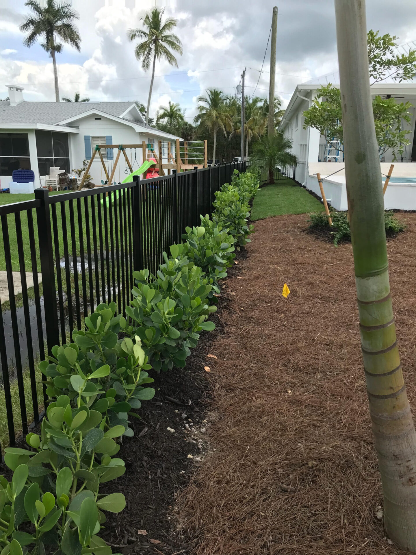 A residential backyard with a black fence, newly planted shrubs, a playground set, and a person working near houses and palm trees.