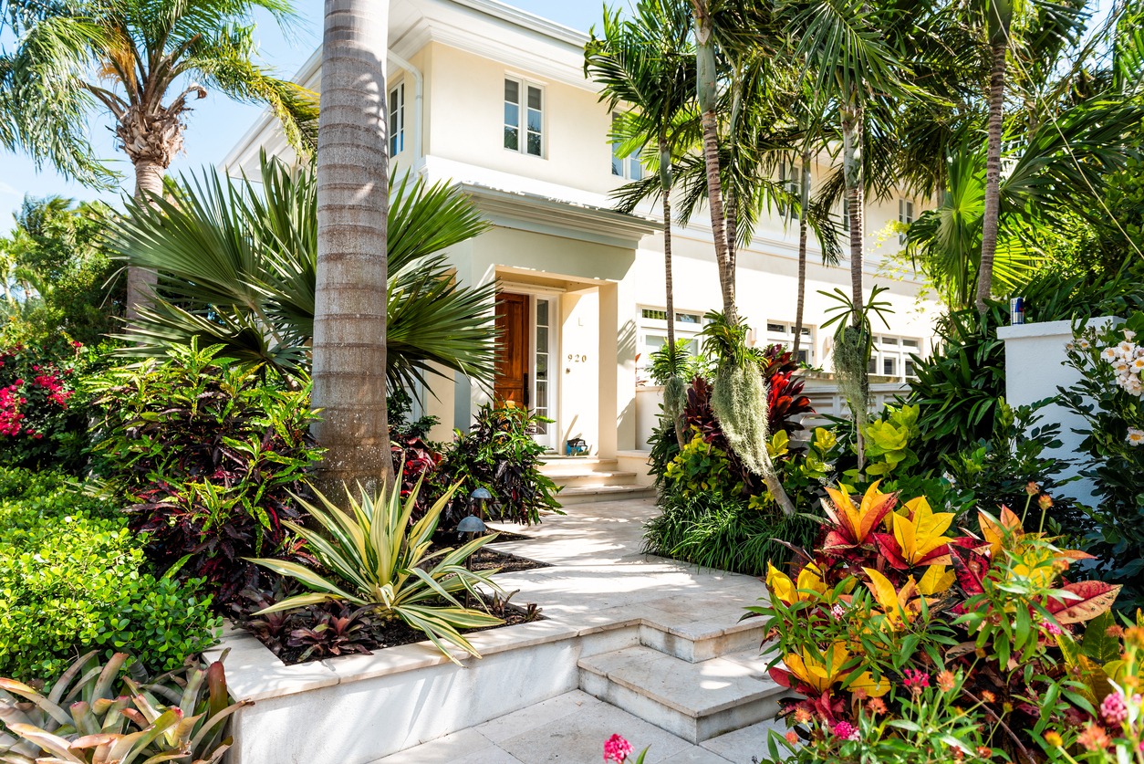 Lush tropical garden with vibrant foliage surrounds a two-story white house, featuring large windows and a wooden door, under clear blue skies.