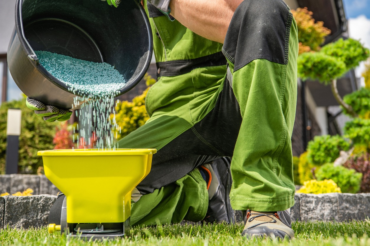 A person in green attire pours granular material into a yellow spreader on a well-maintained lawn, surrounded by shrubs and flowers.