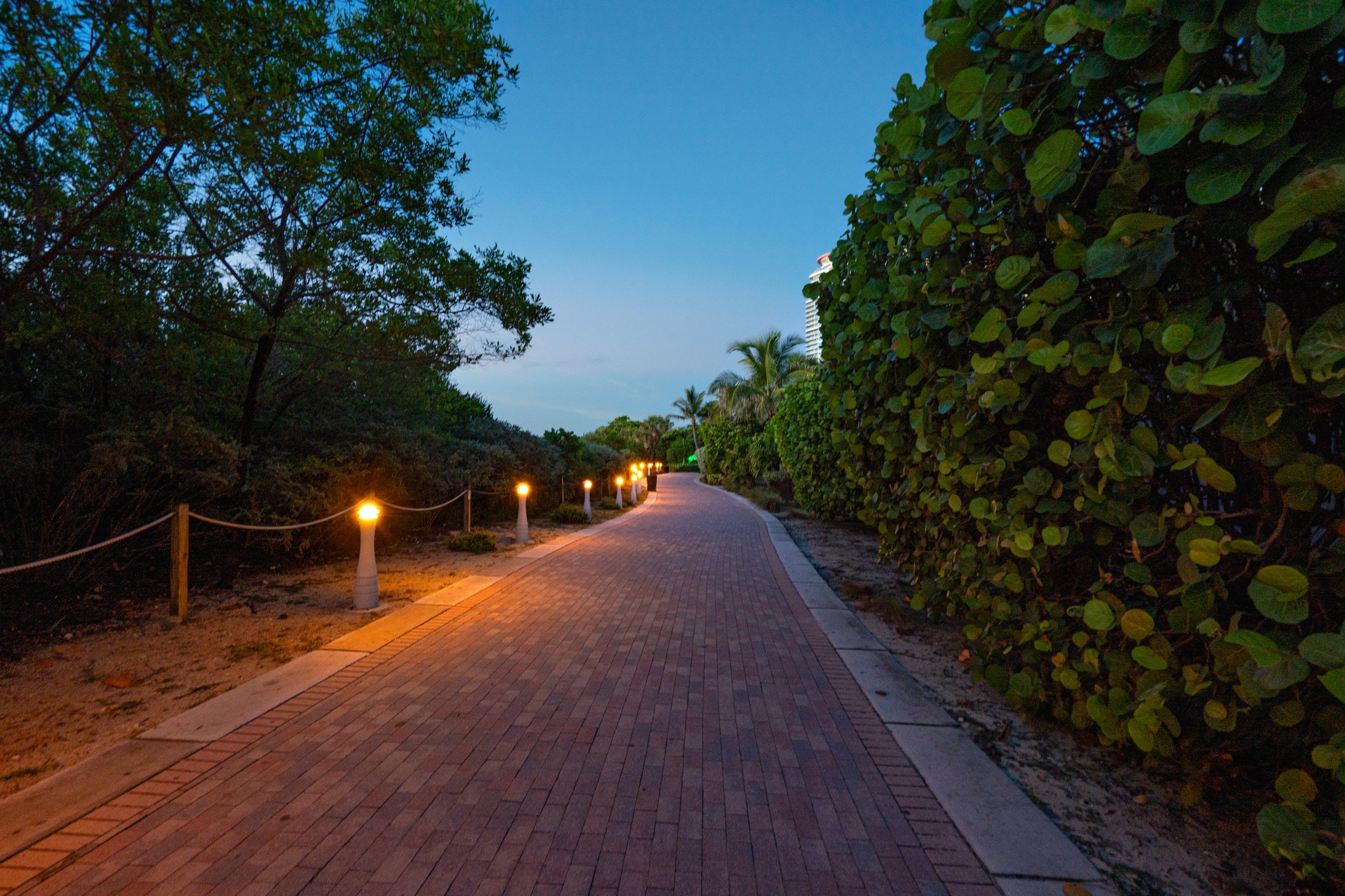 Brick pathway lined with small lights, surrounded by lush greenery. The path curves into the distance under a clear, evening sky.