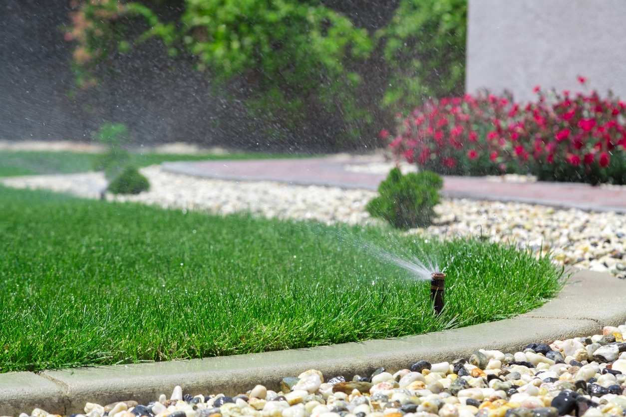 A sprinkler waters lush green grass bordered by stones, with blooming red flowers in the background, under a clear blue sky.