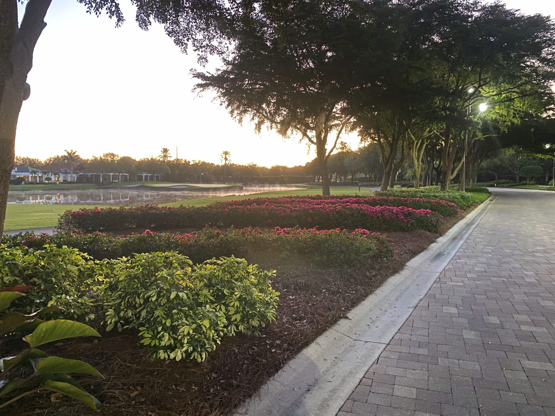 A serene pathway with vibrant flowers, trees, and a reflecting pond at sunset, bordered by greenery on a tranquil evening stroll.