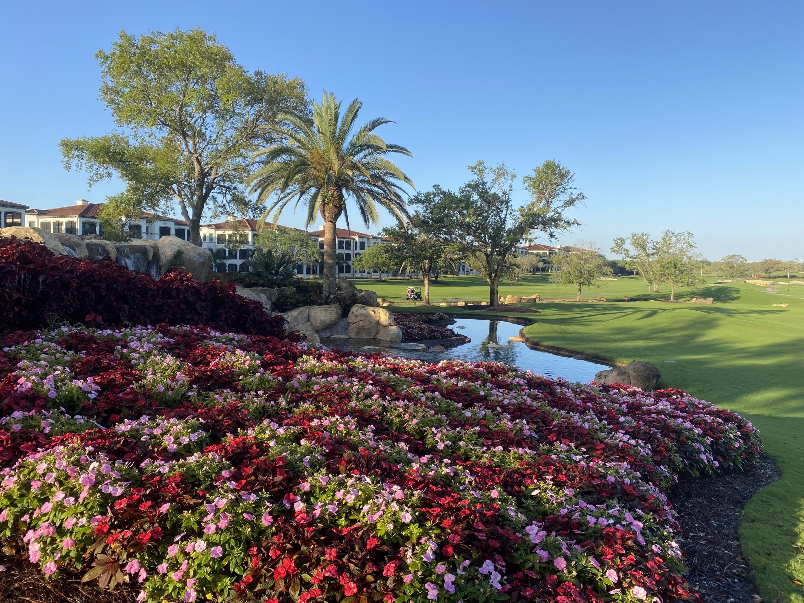 Vibrant flowerbeds and palm trees surround a serene pond on lush green lawn, with elegant buildings in the background under a clear sky.
