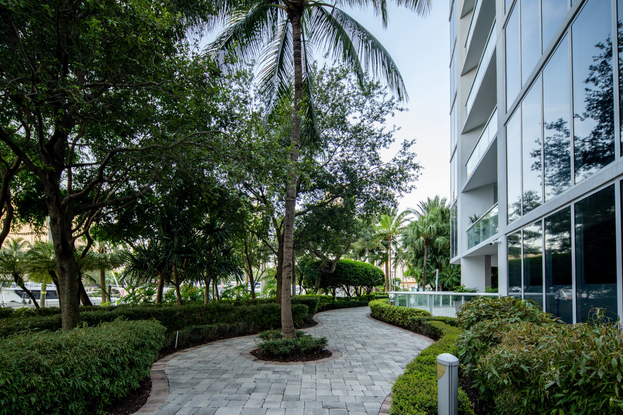 Pathway lined with lush greenery and palm trees beside a modern glass building, creating a serene, tropical urban environment.