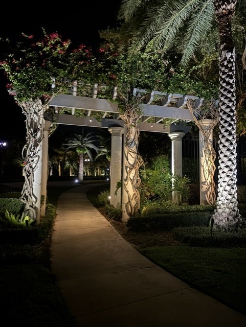 Illuminated garden pathway at night with vine-covered pergola and palm trees. Soft lighting creates an inviting atmosphere, surrounded by lush greenery.