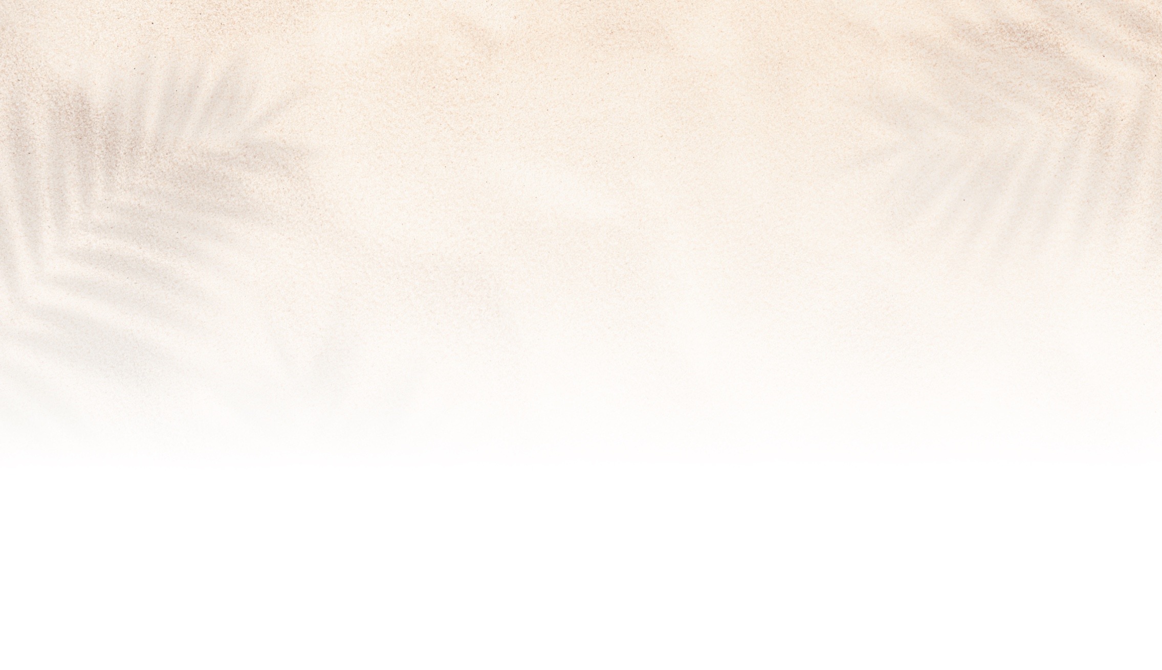 A sandy surface with soft, blurred leaf shadows creates a serene, minimalistic beach-like texture, evoking a calm, natural environment.