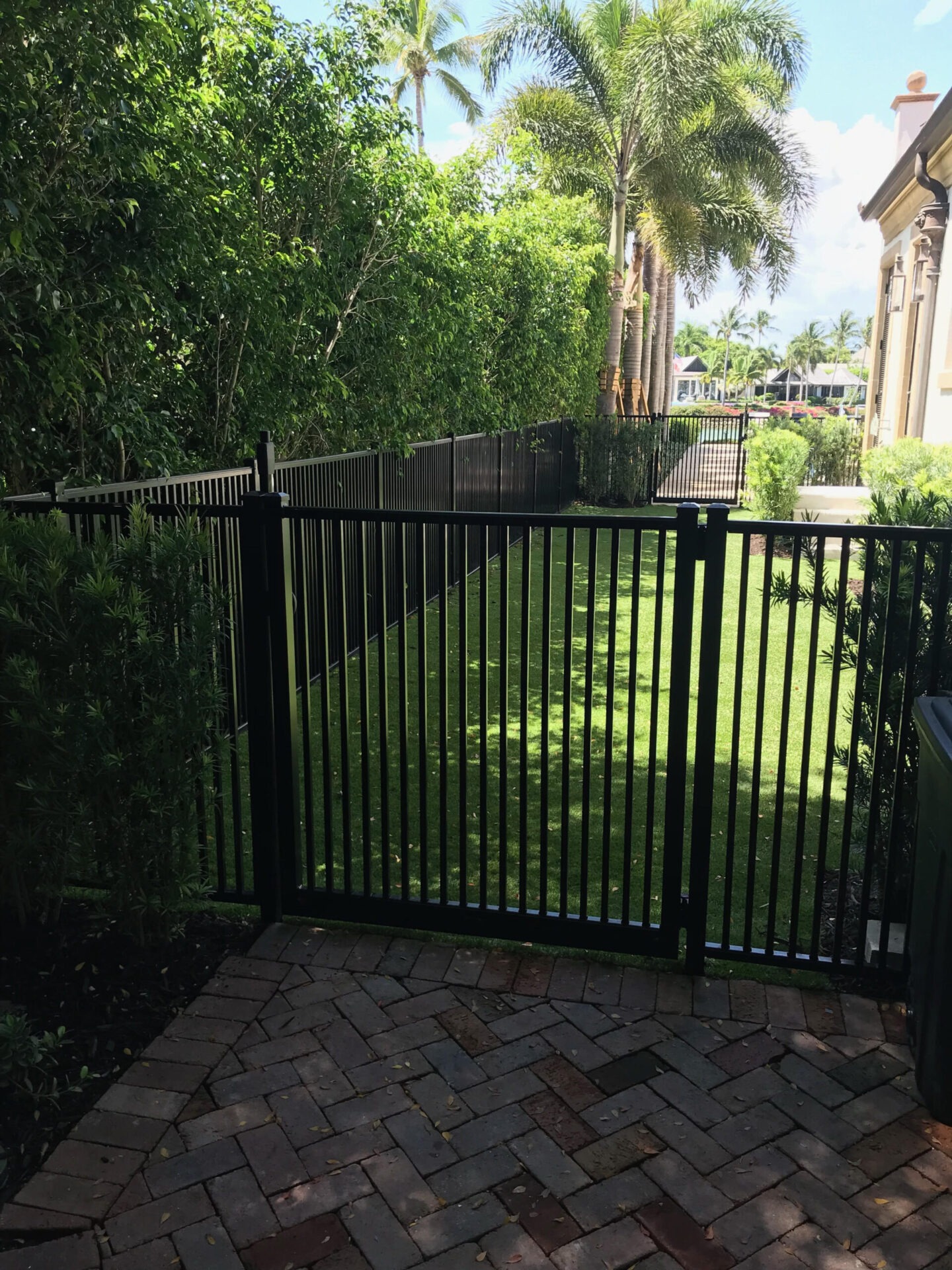 A black metal fence with a gate divides a landscaped yard, with tall palm trees and a building visible in the background.